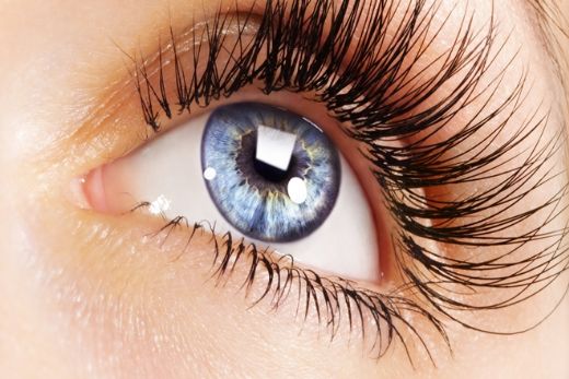 Hindistan Cevizi Yağı Kirpik